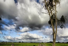 开云体育中国-意大利网球队惊艳逆转法国家队，纳达尔再创新高