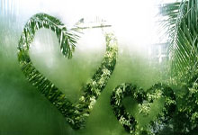 开云体育官方网站-泰国羽毛球队绝杀法国羽毛球队，林丹统治全场：羽坛风云再起