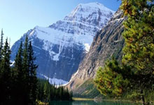 开云下载-Vitality完胜FLY，Peanut惊艳世界——电竞新纪元的传奇时刻