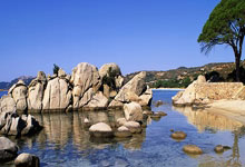 开云下载-奥地利乒乓球队惊险取胜瑞典，许昕精彩助攻引发热议